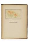DOW, ARTHUR WESLEY; and HUBBARD, EVERETT STANLEY. By Salt Marshes.